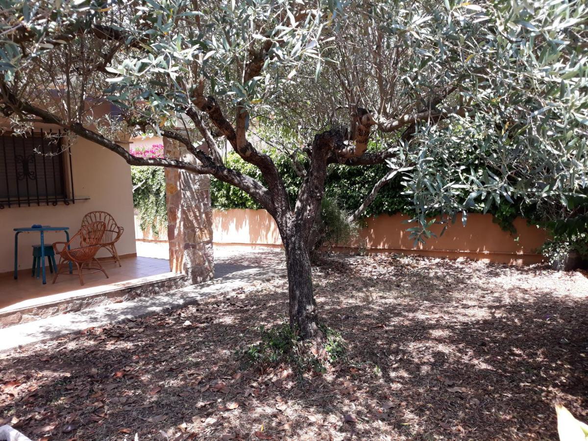 Casa Amb Gran Jardi A Vilauer-Costa Brava - Alt Emporda Vilaur 외부 사진