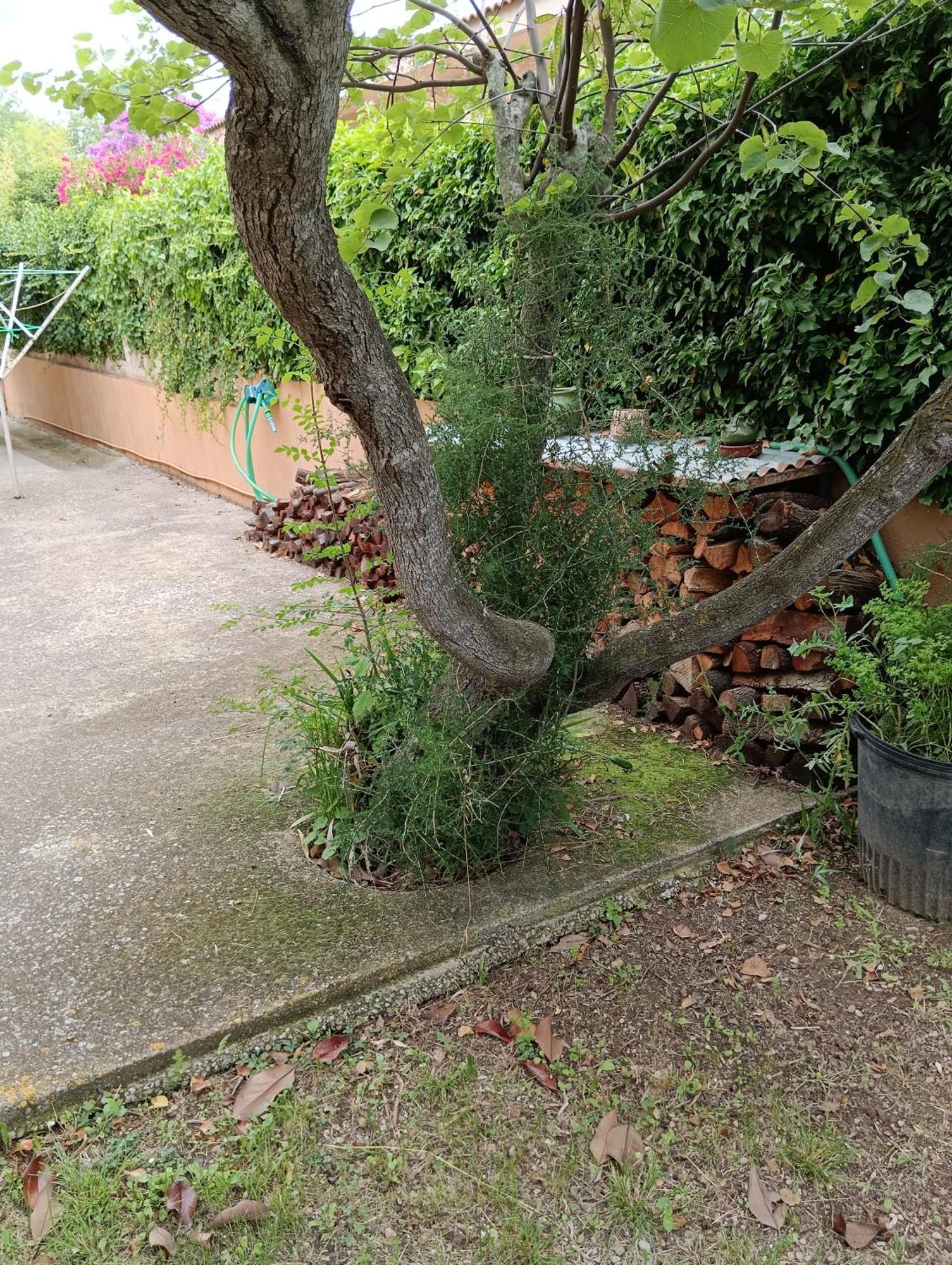 Casa Amb Gran Jardi A Vilauer-Costa Brava - Alt Emporda Vilaur 외부 사진