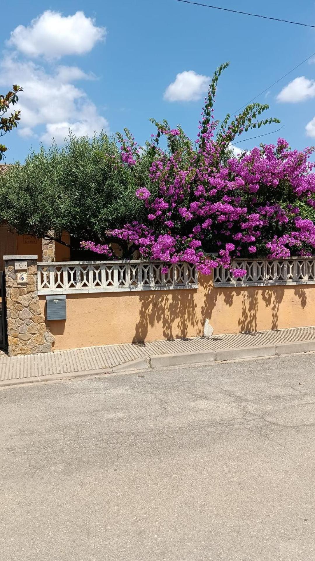 Casa Amb Gran Jardi A Vilauer-Costa Brava - Alt Emporda Vilaur 외부 사진